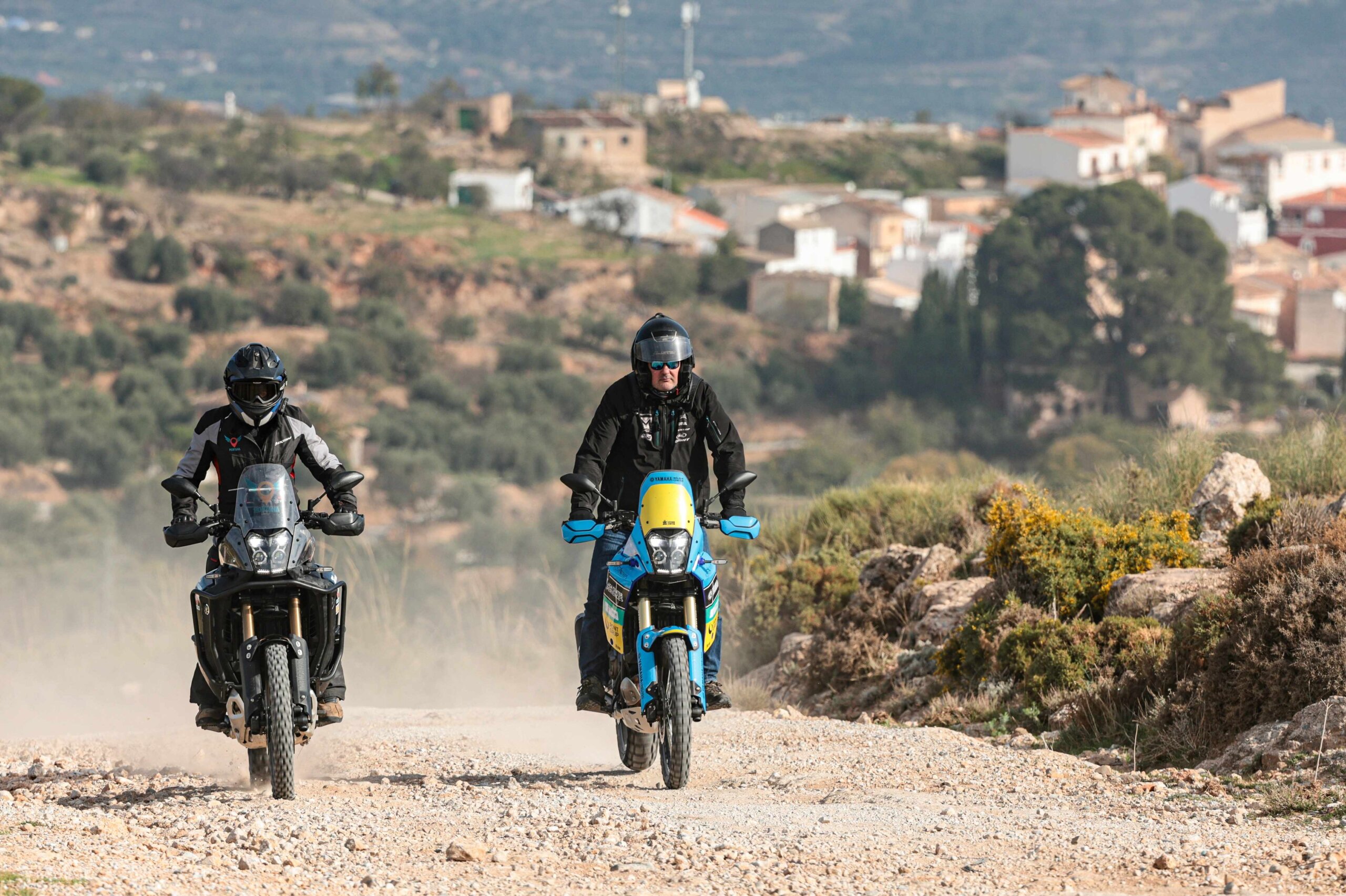 RUTA ENOLÓGICA “CAMINO DE RONDA”