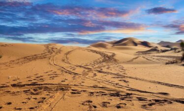 MARRUECOS DIVERSO
